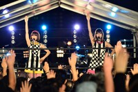 バニラビーンズ（撮影：橋本塁）