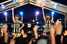 バニラビーンズ（撮影：橋本塁）