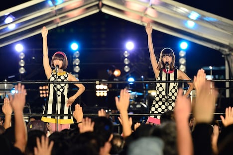 バニラビーンズ（撮影：橋本塁）