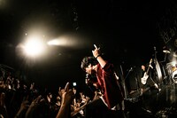 テスラは泣かない。「『偶然とか運命とか』Release Tour【10周年とかツアーとか】」東京・WWW公演の様子。（写真提供：murffin discs）