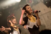 愛（WAgg）（Photo by JUMPEi YAMADA）