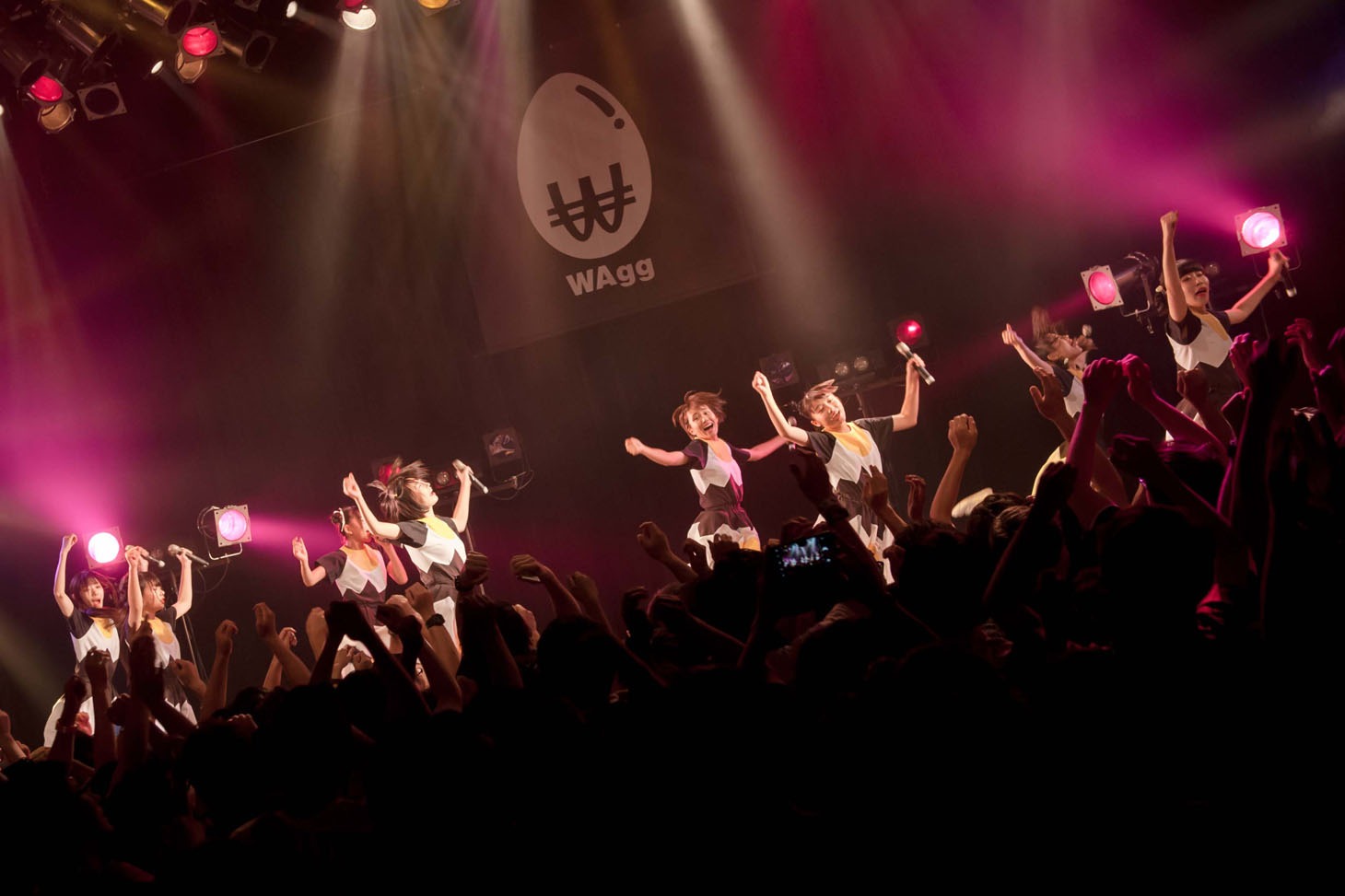 WAgg（Photo by JUMPEi YAMADA）