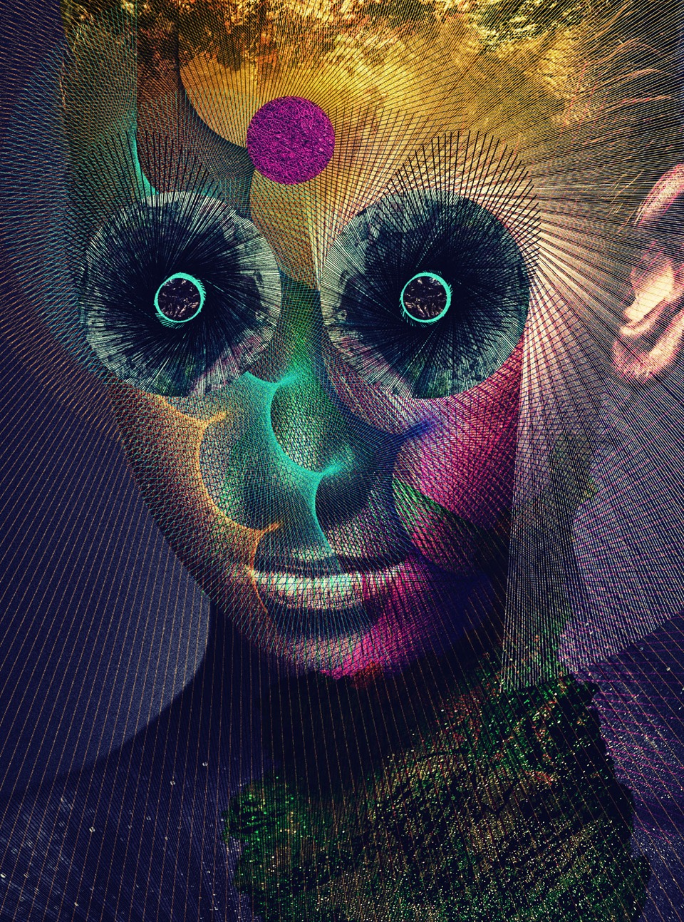 DIR EN GREY「The Insulated World」完全生産限定盤ジャケット