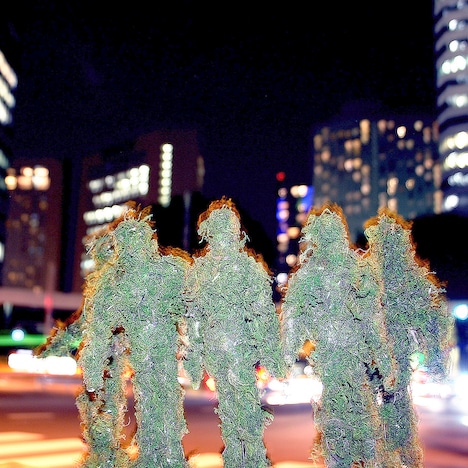 la la larks「after」配信ジャケット