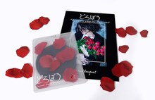 ドレスコーズ「どろぼう ～dresscodes plays the dresscodes～」グラン・ブーケ盤に収められるBlu-rayパッケージとパンフレット見本。