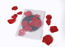 ドレスコーズ「どろぼう ～dresscodes plays the dresscodes～」通常盤DVDパッケージ見本