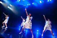 sora tob sakana（撮影：稲垣謙一）