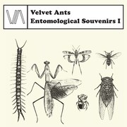 Velvet Ants「Entomological Souvenirs I」ジャケット