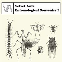 Velvet Ants「Entomological Souvenirs I」ジャケット