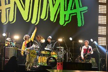 WANIMA (c)テレビ朝日ドリームフェスティバル2018（撮影：岸田哲平）