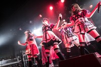 ZOC（Photo by Masayo）