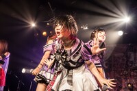 ZOC（Photo by Masayo）