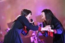 じゃれる安本彩花（左）と柏木ひなた（右）。