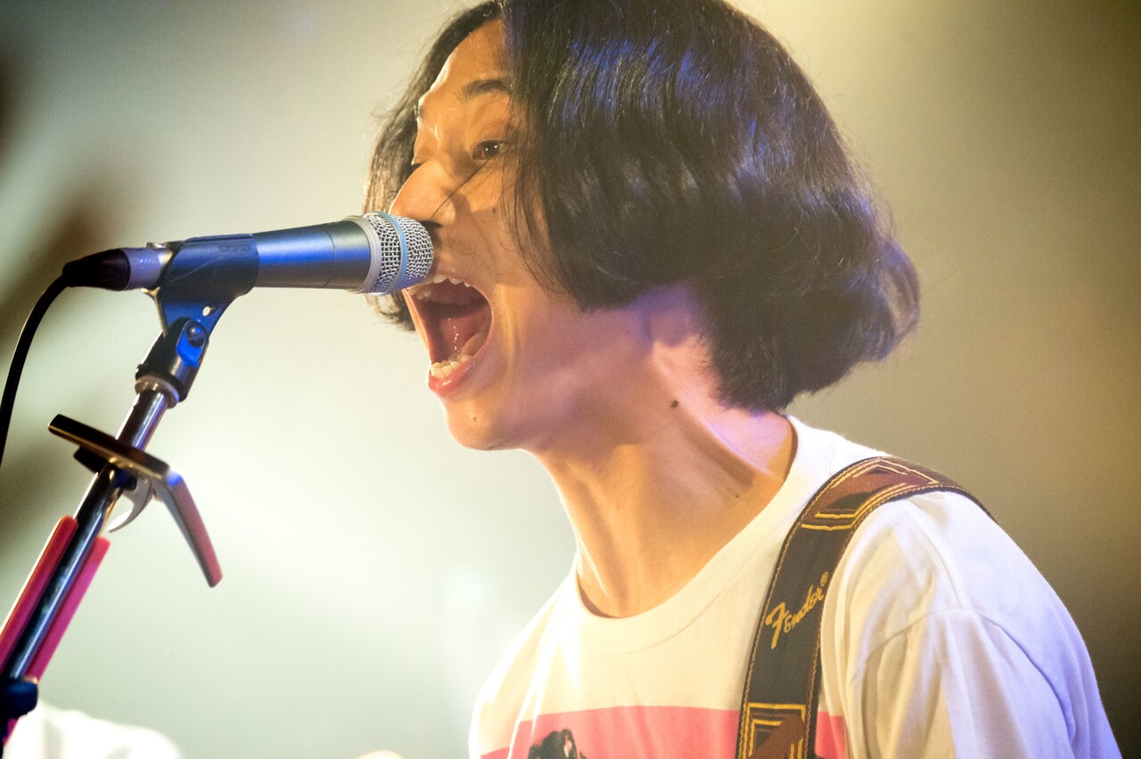 はっとり（Vo, G / マカロニえんぴつ）（撮影：八尾武志）