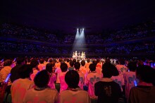 まねきケチャ「日本武道館 de まねきケチャ」の様子。（Photo by 高階裕幸 / 野田凌平 / ヤマ［@YUBOPHOTO］ ）