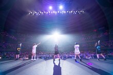 まねきケチャ「日本武道館 de まねきケチャ」の様子。（Photo by 高階裕幸 / 野田凌平 / ヤマ［@YUBOPHOTO］ ）