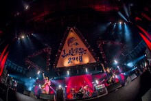 ヤバイTシャツ屋さん（Photo by HayachiN）