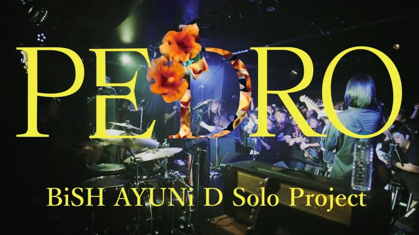 PEDRO「透明少女」ライブ映像のワンシーン。