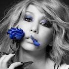「イノサンmusicale」キャスト発表、W主演は中島美嘉と古屋敬多