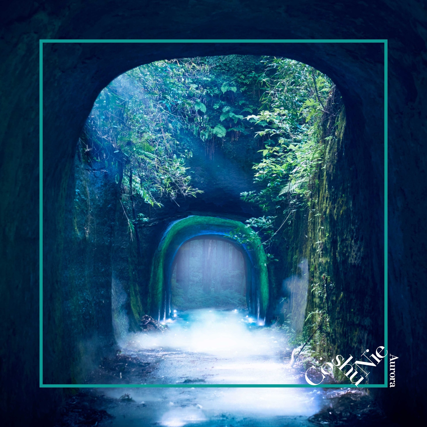 Co shu Nie「Aurora」ジャケット