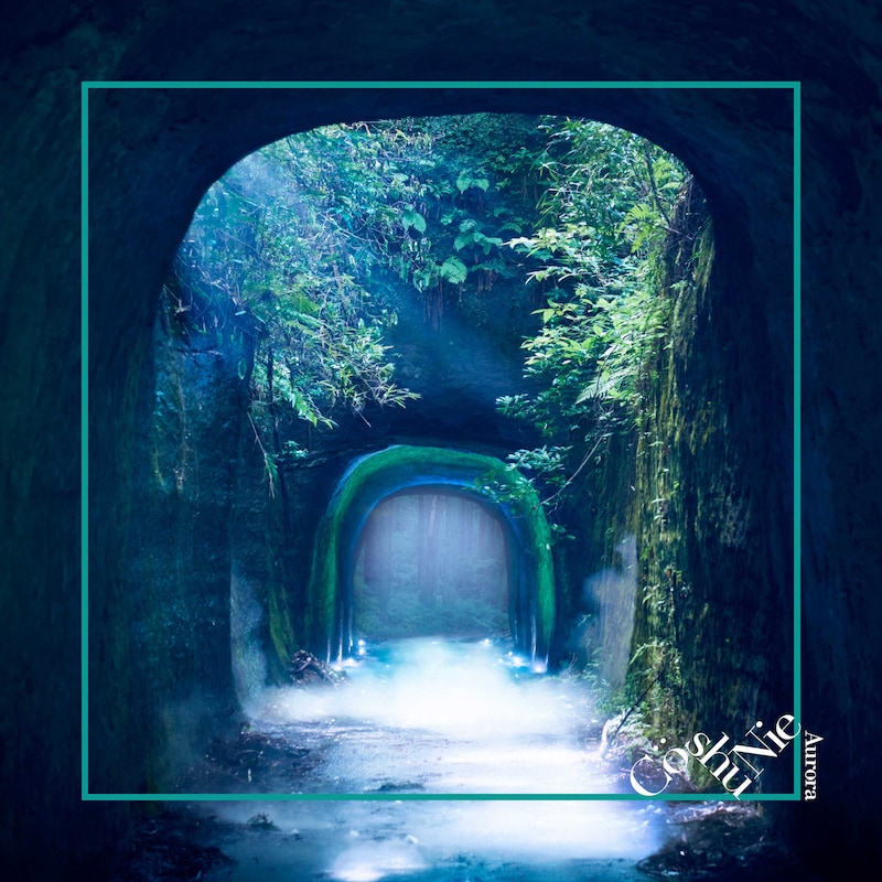 Co shu Nie「Aurora」ジャケット