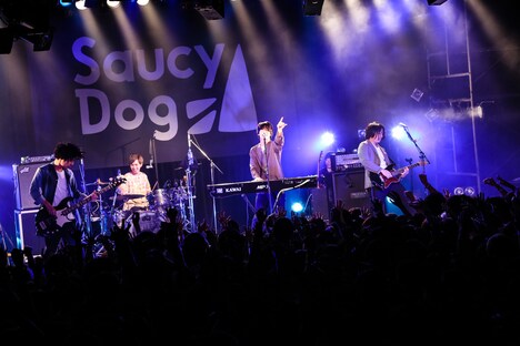 SHE'S（撮影：白石達也）