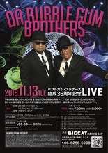 「バブルガム・ブラザーズ 結成35周年記念LIVE」大阪公演ポスター
