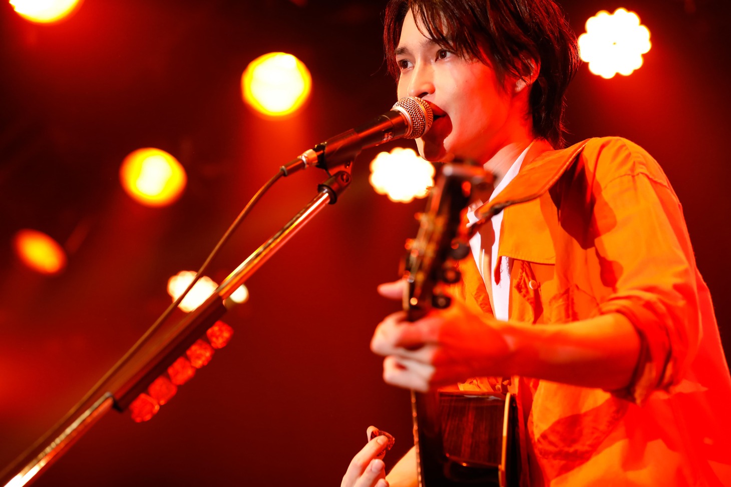 阪本奨悟（撮影：木村泰之）