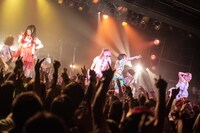 ぜんぶ君のせいだ。「おぼろばんからからーTOUR」最終公演の様子。（撮影：関上貴也）