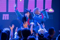 Malcolm Mask McLaren「新体制お披露目FREEライブ」の様子。（写真提供：エイジアプロモーション）