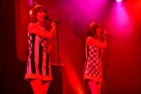 バニラビーンズ