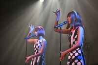 バニラビーンズ