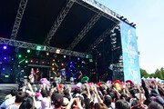 女王蜂のライブの様子。