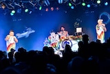 シクラメン