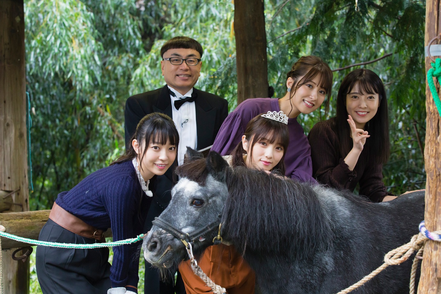 「NOGIBINGO!10」第2回の様子。(c)「NOGIBINGO!10」製作委員会