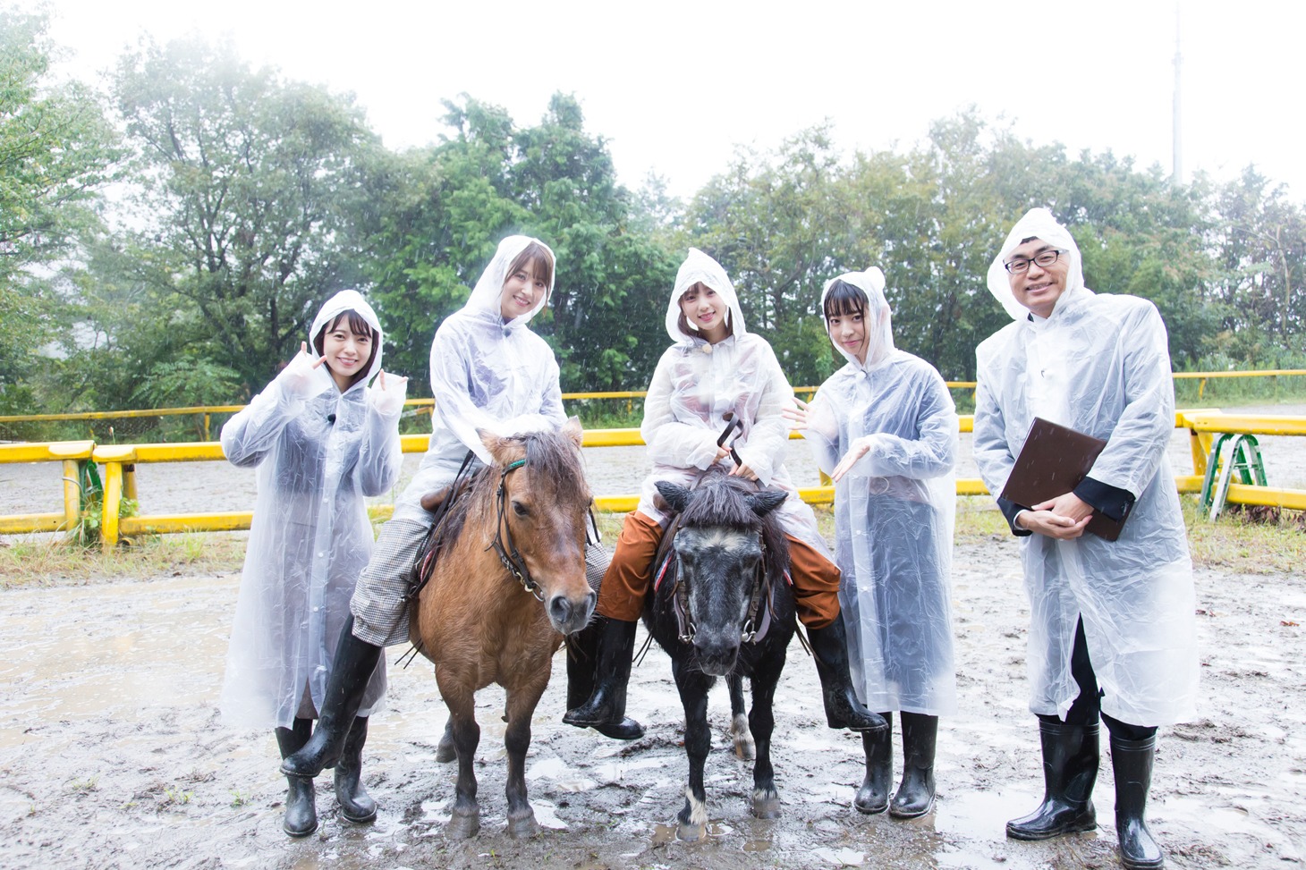 「NOGIBINGO!10」第2回の様子。(c)「NOGIBINGO!10」製作委員会