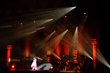 高垣彩陽「LAWSON presents 高垣彩陽コンサート『Memoria×MelodiaII』」の様子。（撮影：佐藤薫）