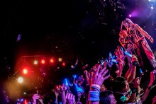 ゆるめるモ！「ゆるめるモ！の酔拳ツアー～カースト スペック どん底でもやる そんな僕らの戦い方～」兵庫・MUSIC ZOO KOBE 太陽と虎公演の様子。（Photo by shinz）