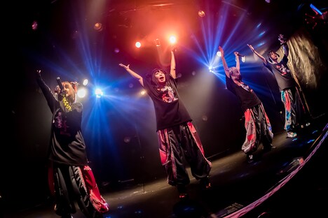 ゆるめるモ！「ゆるめるモ！の酔拳ツアー～カースト スペック どん底でもやる そんな僕らの戦い方～」兵庫・MUSIC ZOO KOBE 太陽と虎公演の様子。（Photo by shinz）