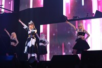 きゃりーぱみゅぱみゅ