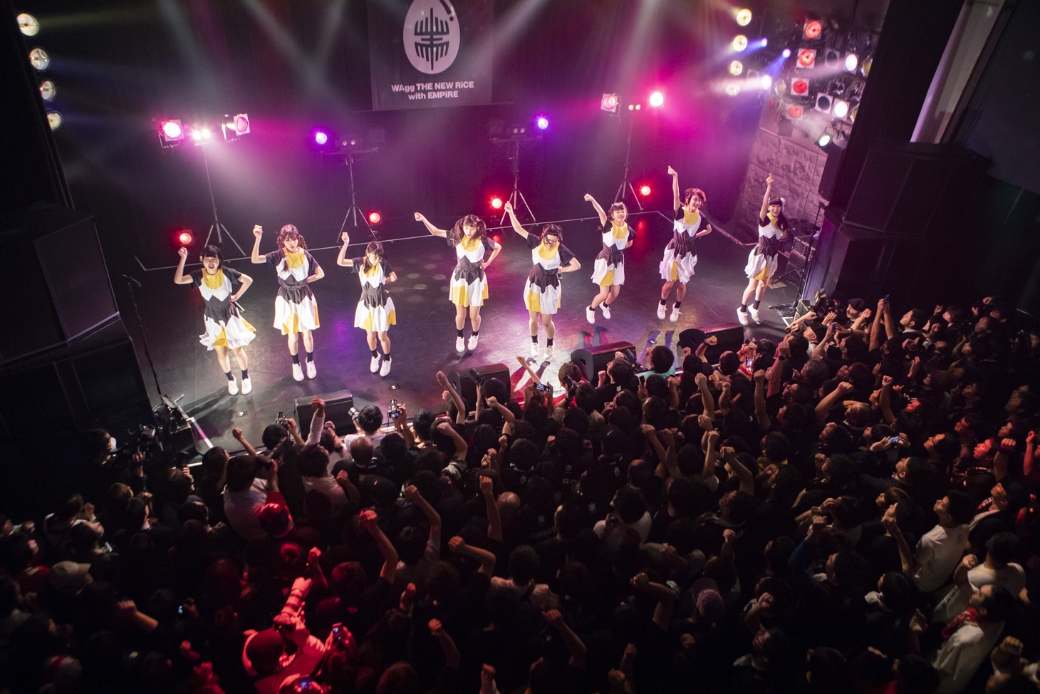 WAgg（Photo by kenta sotobayashi）
