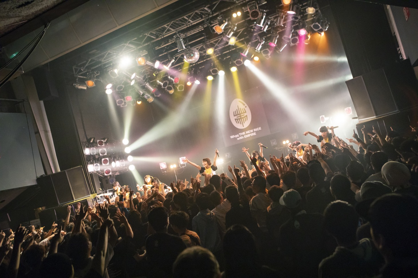 WAgg（Photo by kenta sotobayashi）