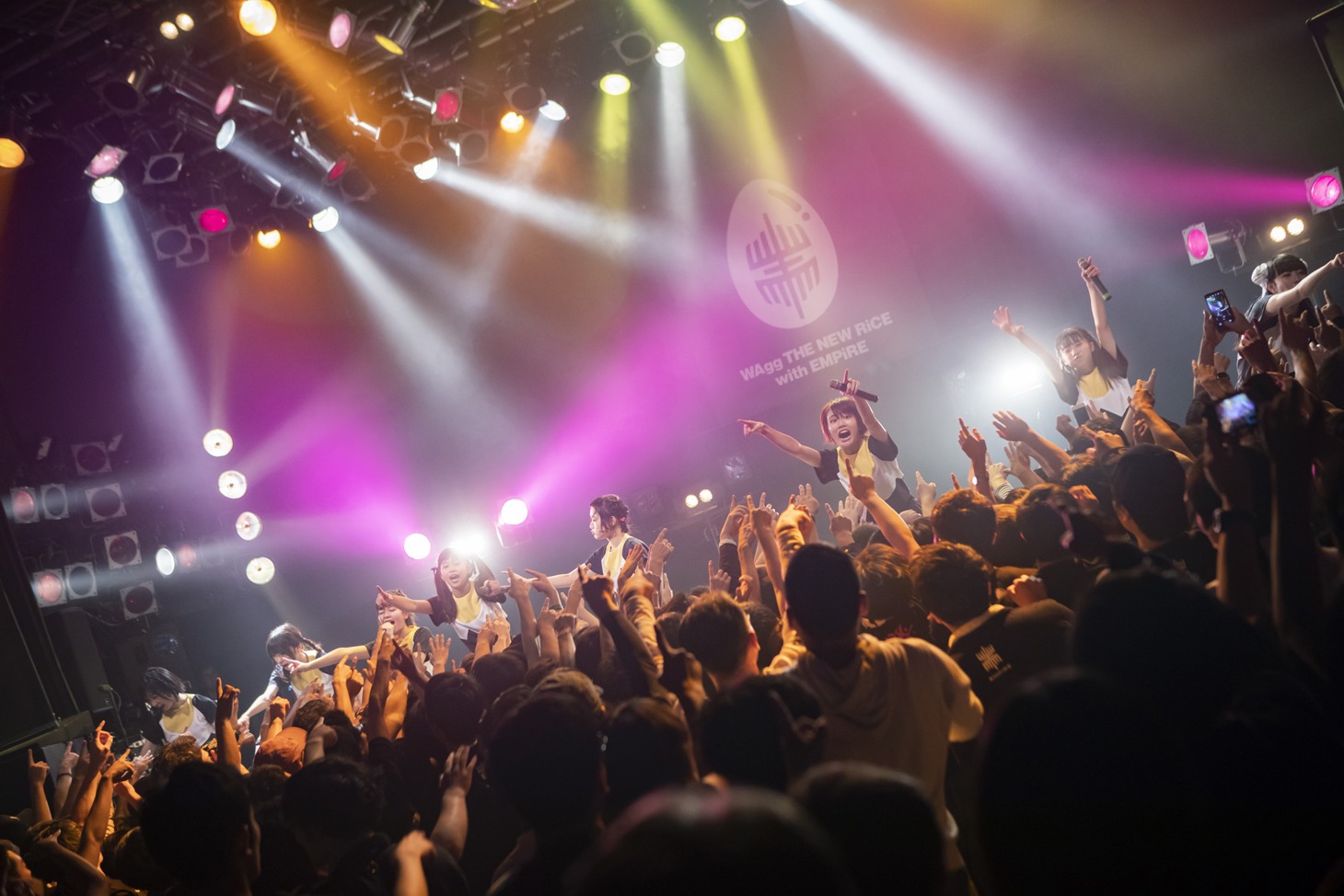 WAgg（Photo by kenta sotobayashi）