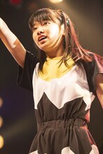 ナルハワールド（Photo by kenta sotobayashi）