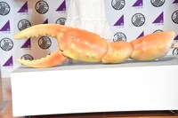 「和ラー」新CMの撮影で使用された蟹のセット。