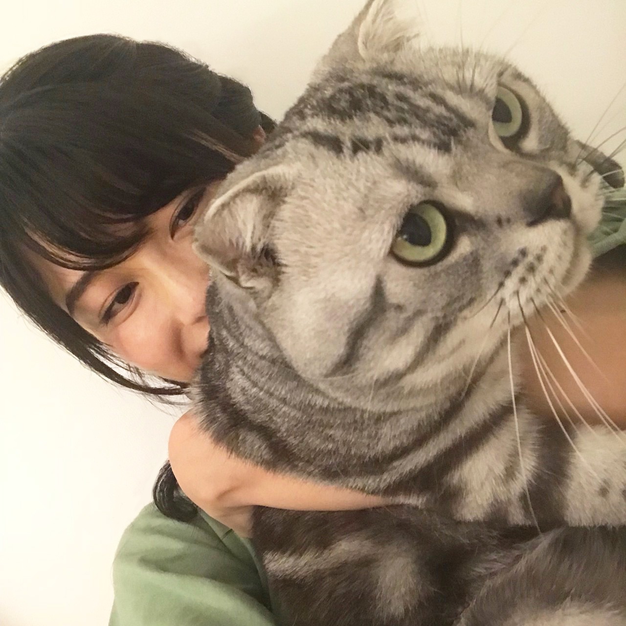 横山由依に抱きかかえられているビス。