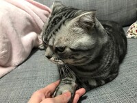 “お手”状態のビス。