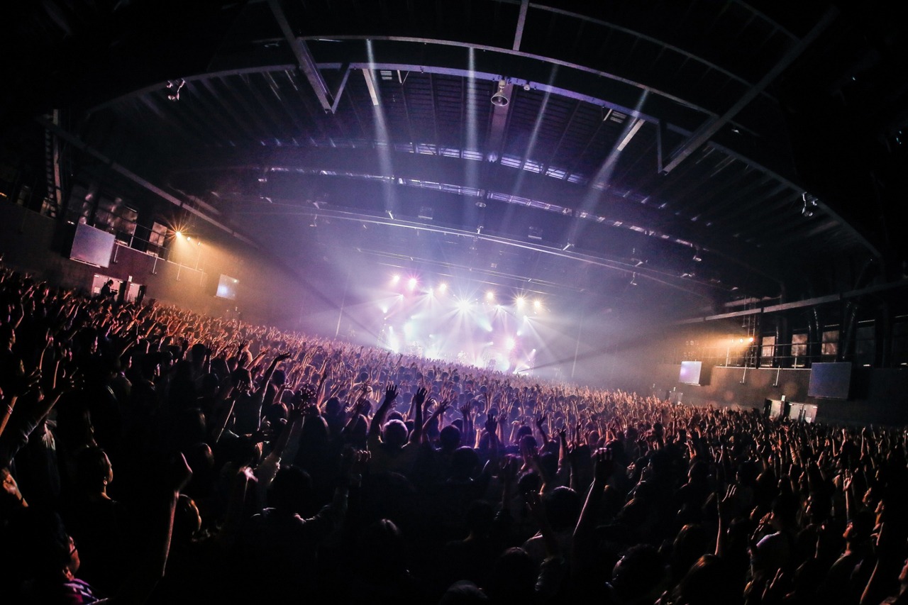 「SUPER BEAVER『歓声前夜』Release Tour 2018 ～初めての、ラクダ運転～」東京・チームスマイル・豊洲PIT公演の様子。（撮影：日吉"JP"純平）