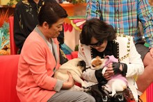 「坂上どうぶつ王国」より坂上忍とToshl。(c)フジテレビ