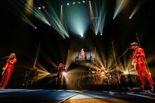 女王蜂（撮影：森好弘）